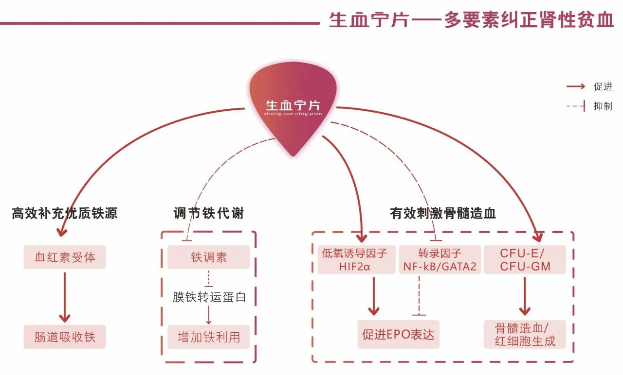 果博·(中国游)官方网站-App Store