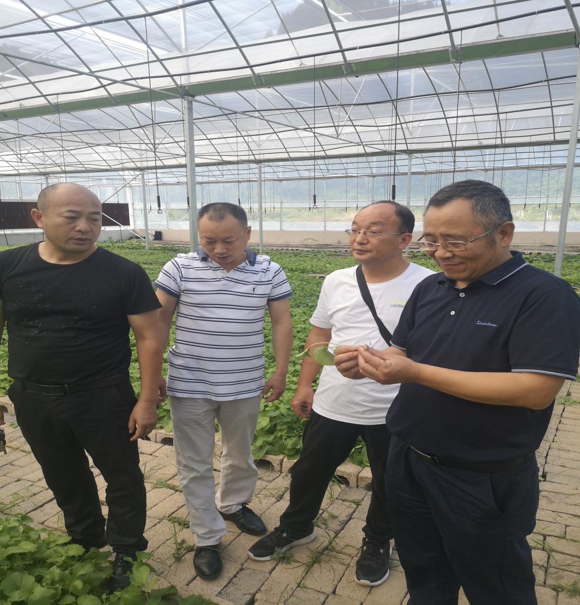 果博·(中国游)官方网站-App Store